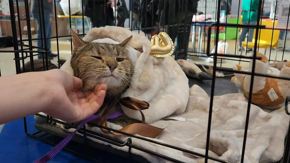 Фото: Ольга Шеметова