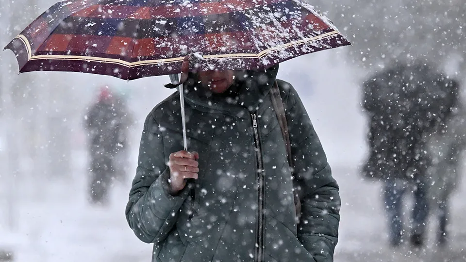 Фото: РИА Новости/Пелагия Тихонова