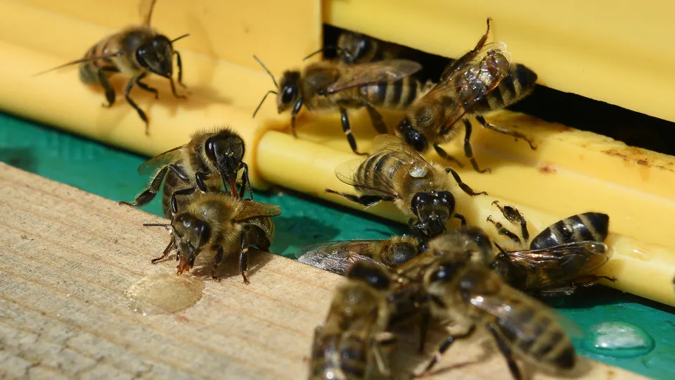 Фото: медиасток.рф