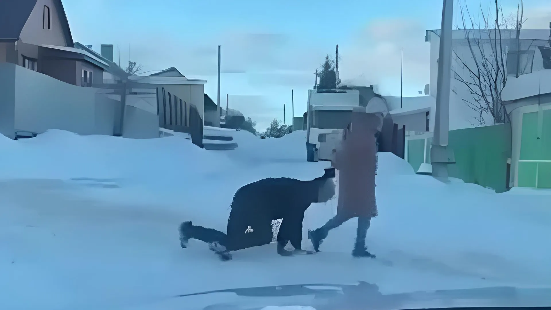 фото: скриншот