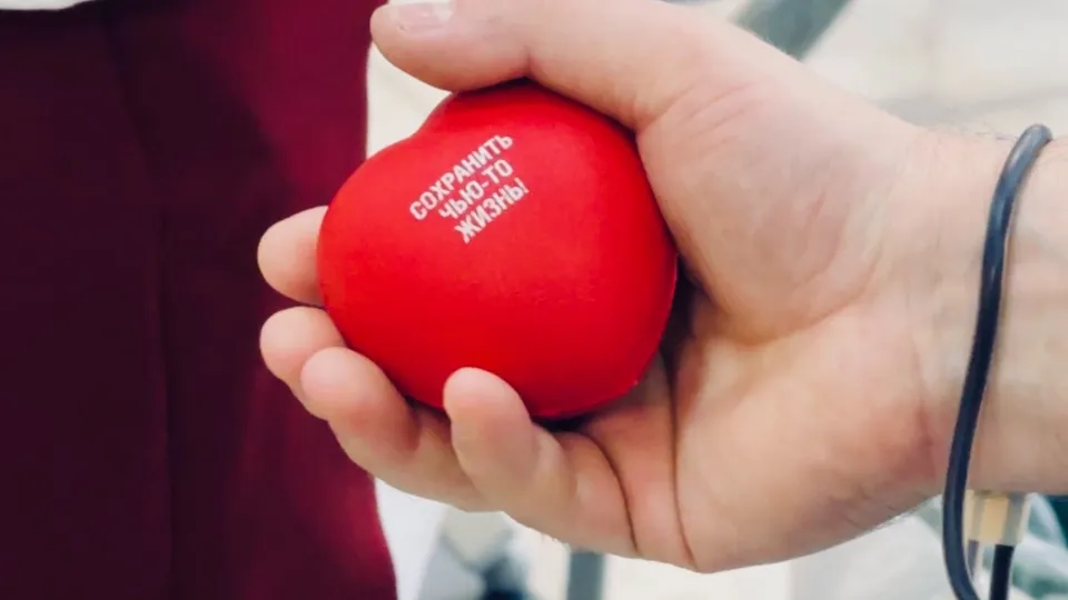 Фото: МедиаБанк Подмосковья/Ольга Стаферова