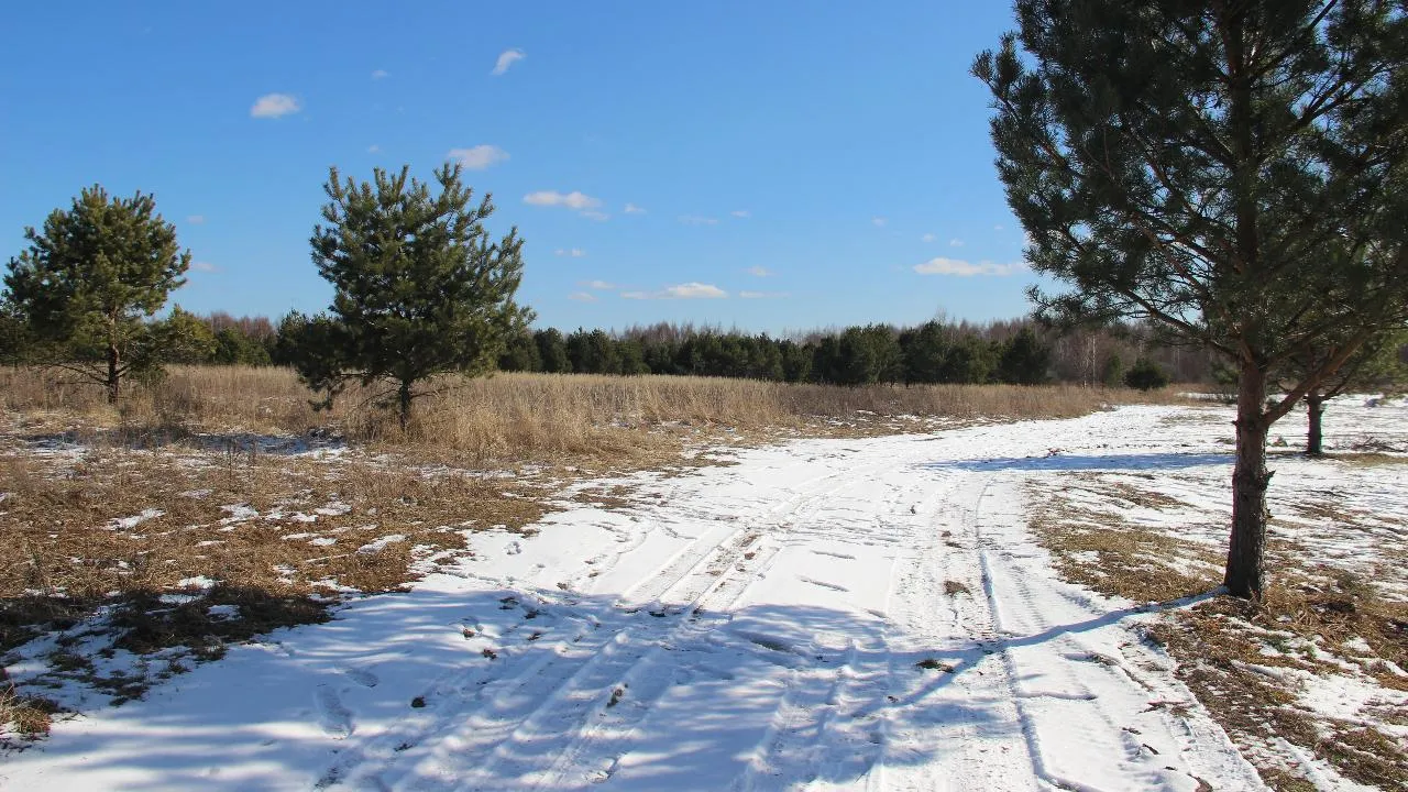 REGIONS/Василий Тремасов