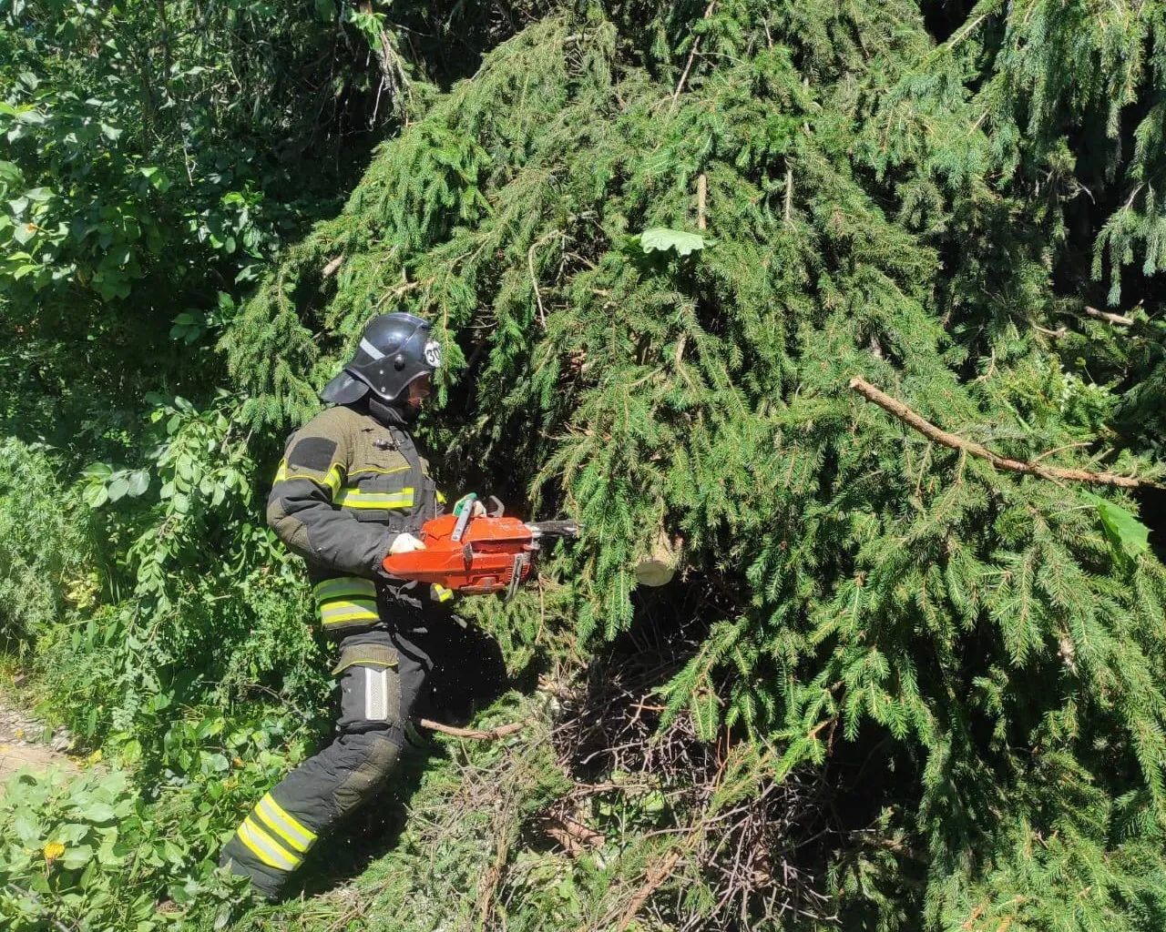 Фото: ГКУ МО «Мособлпожспас»