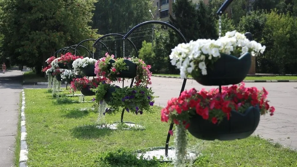 Фото: пресс-служба Администрации г.о. Долгопрудный