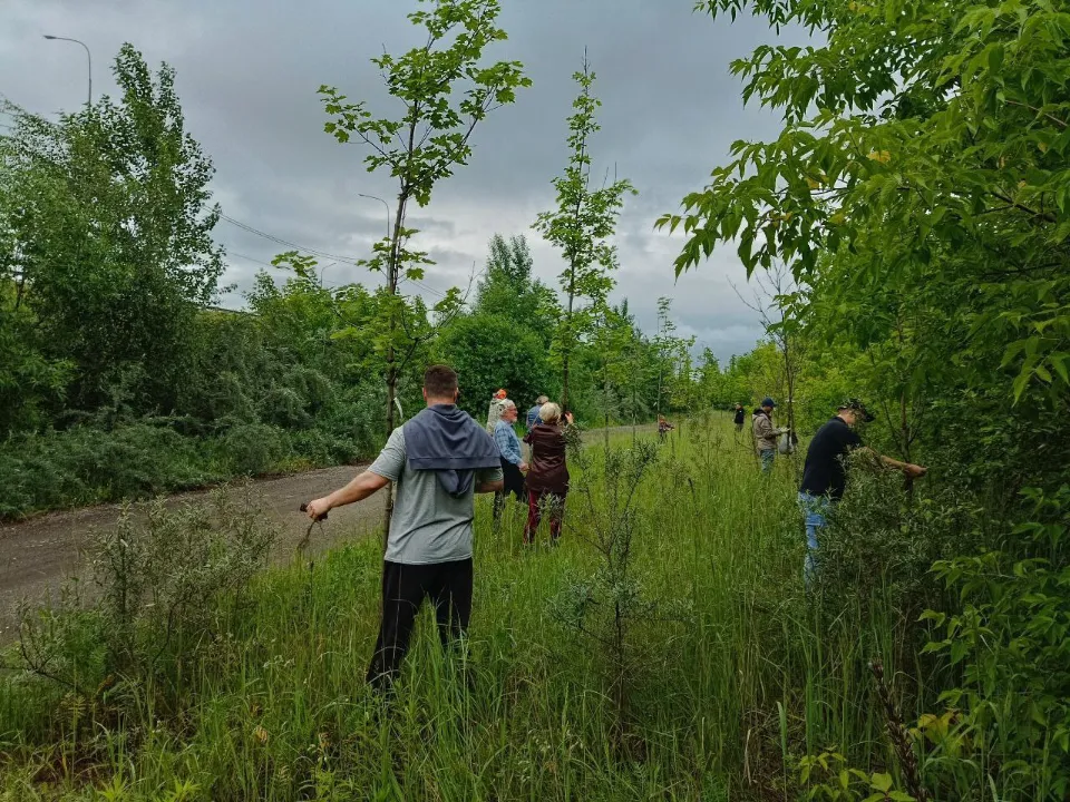 Фото: Общественная палата г.о. Жуковский&nbsp;