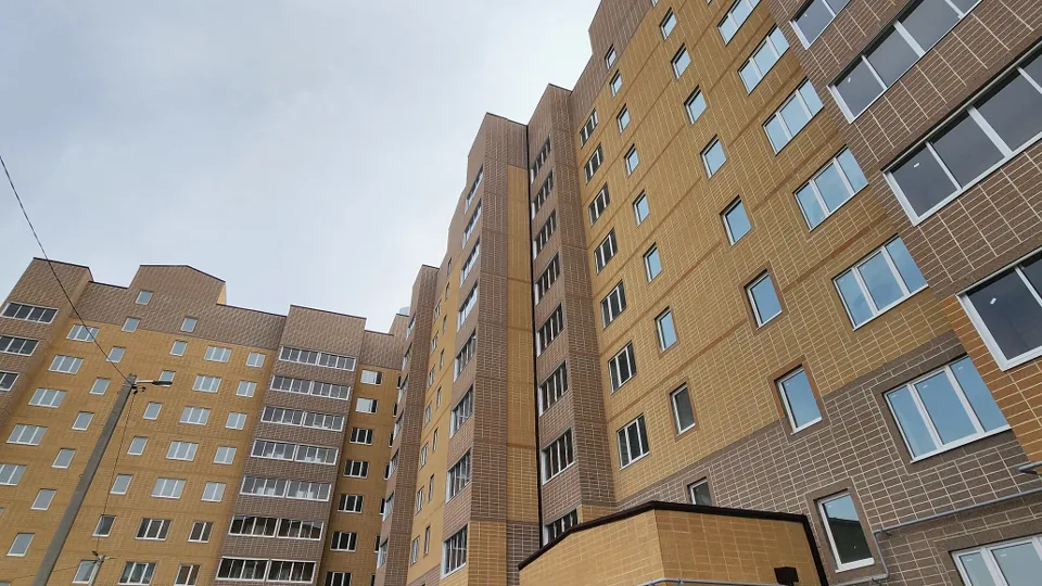 Фото: МедиаБанк Подмосковья/Александр Степушкин