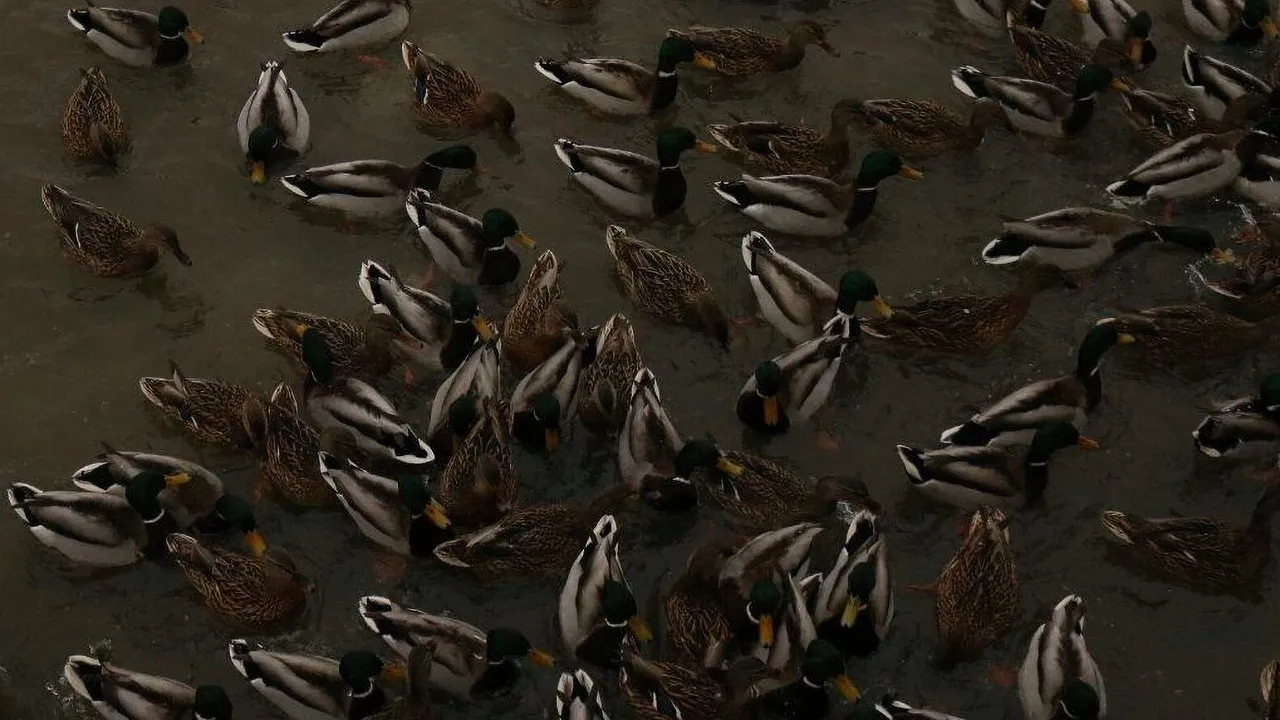 Фото: А. Ульянов