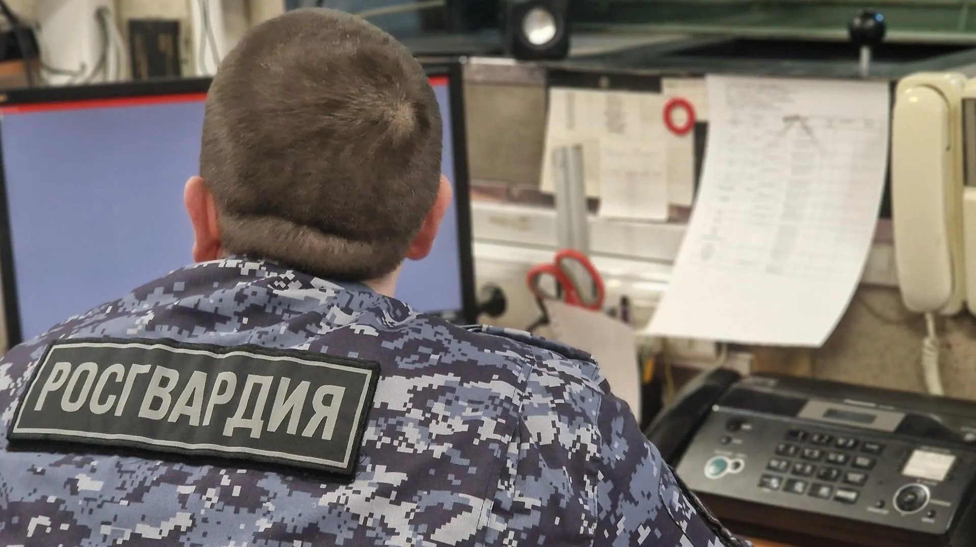 REGIONS/Ольга Шаронова