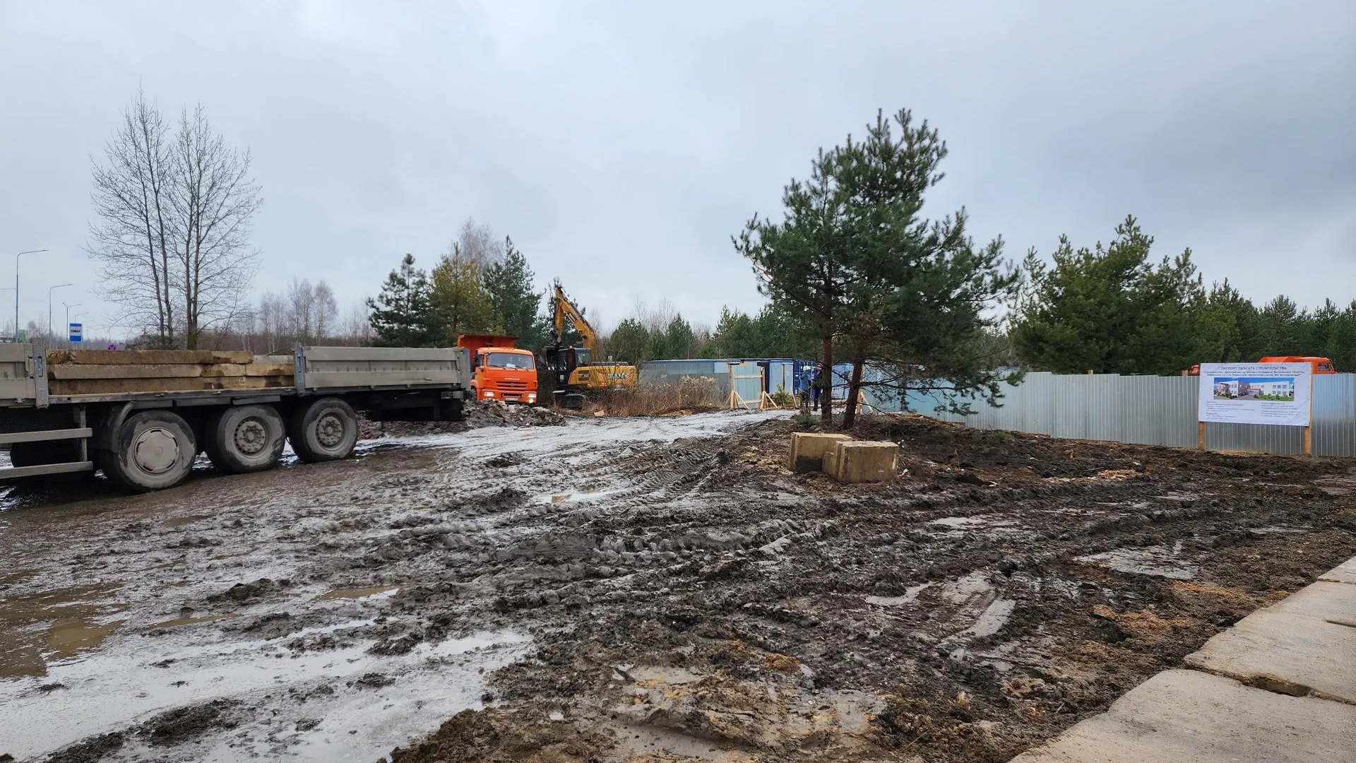 Фото: Ирина Моисеева