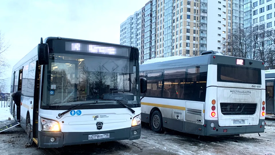 Фото: МедиаБанк Подмосковья/Ирина Мальцева