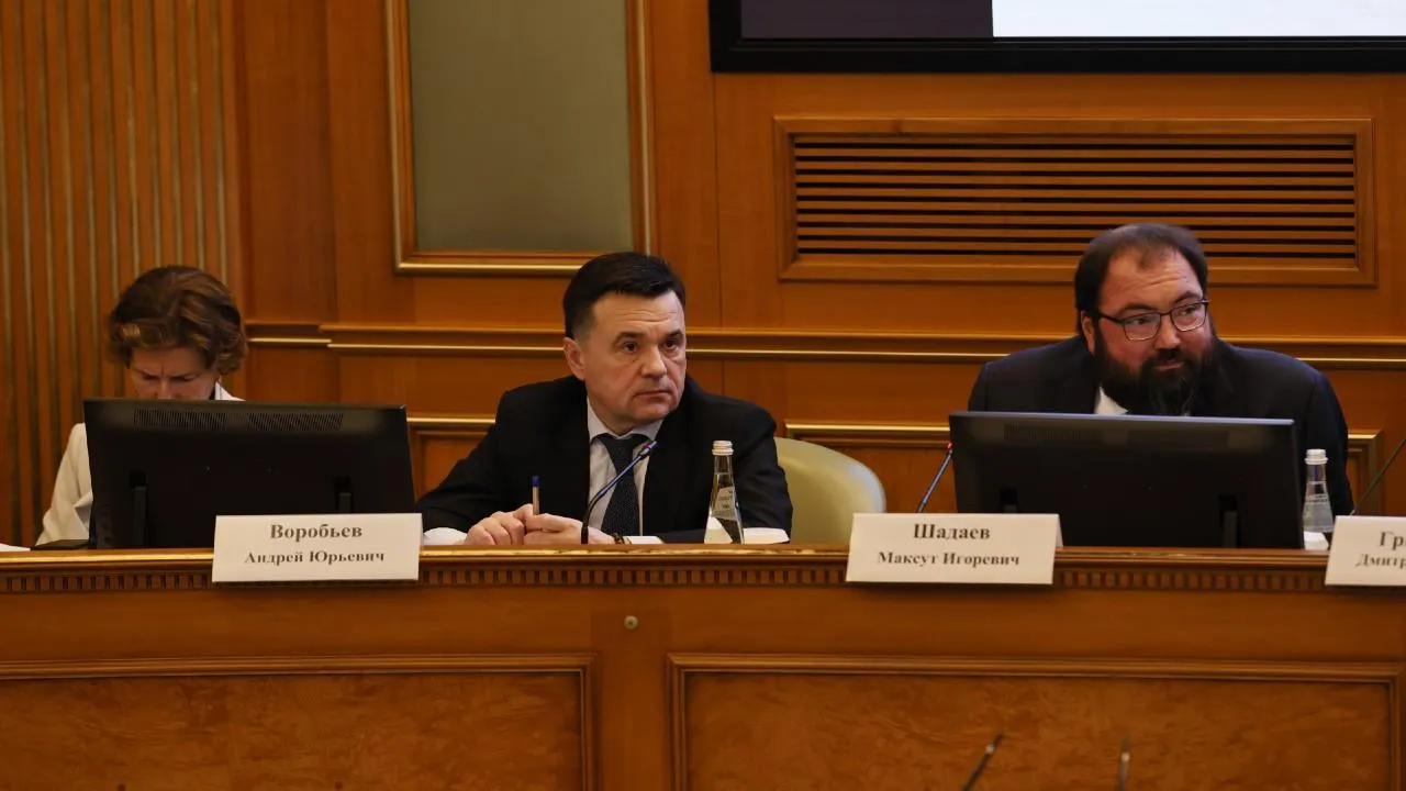 Андрей Воробьев: при оценке эффективности работы в сфере ИТ нужно учитывать специфику регионов