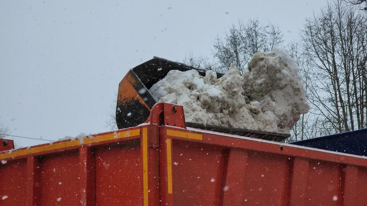 МедиаБанк Подмосковья/Екатерина Данилина