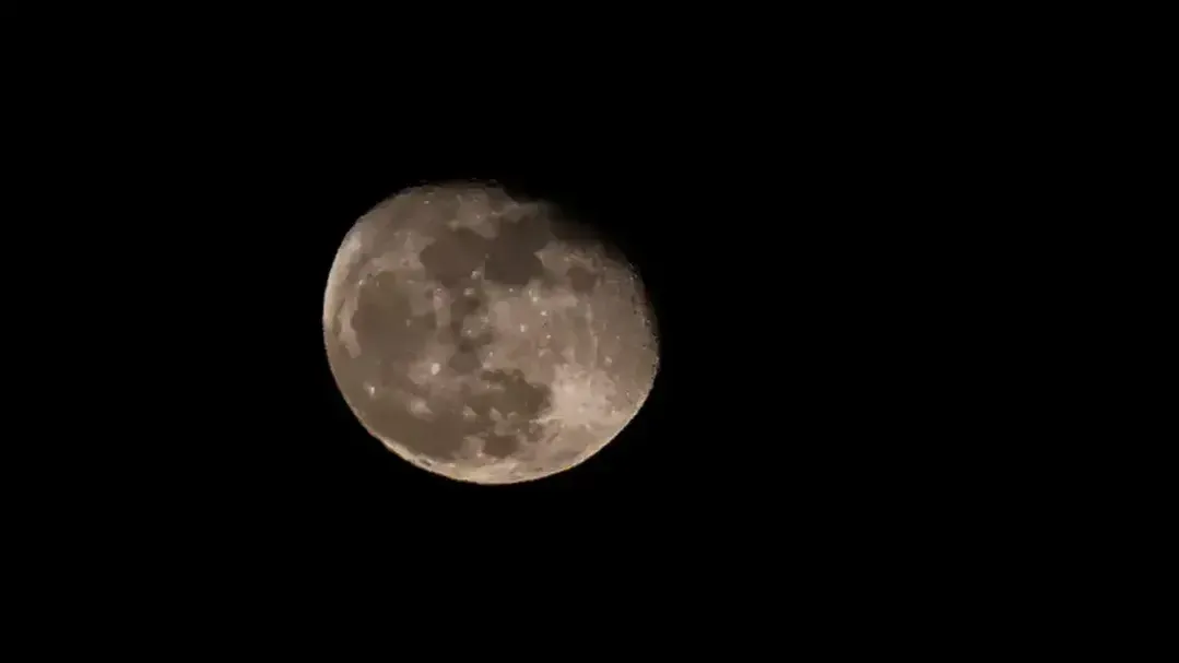 REGIONS/Роман Малышенко