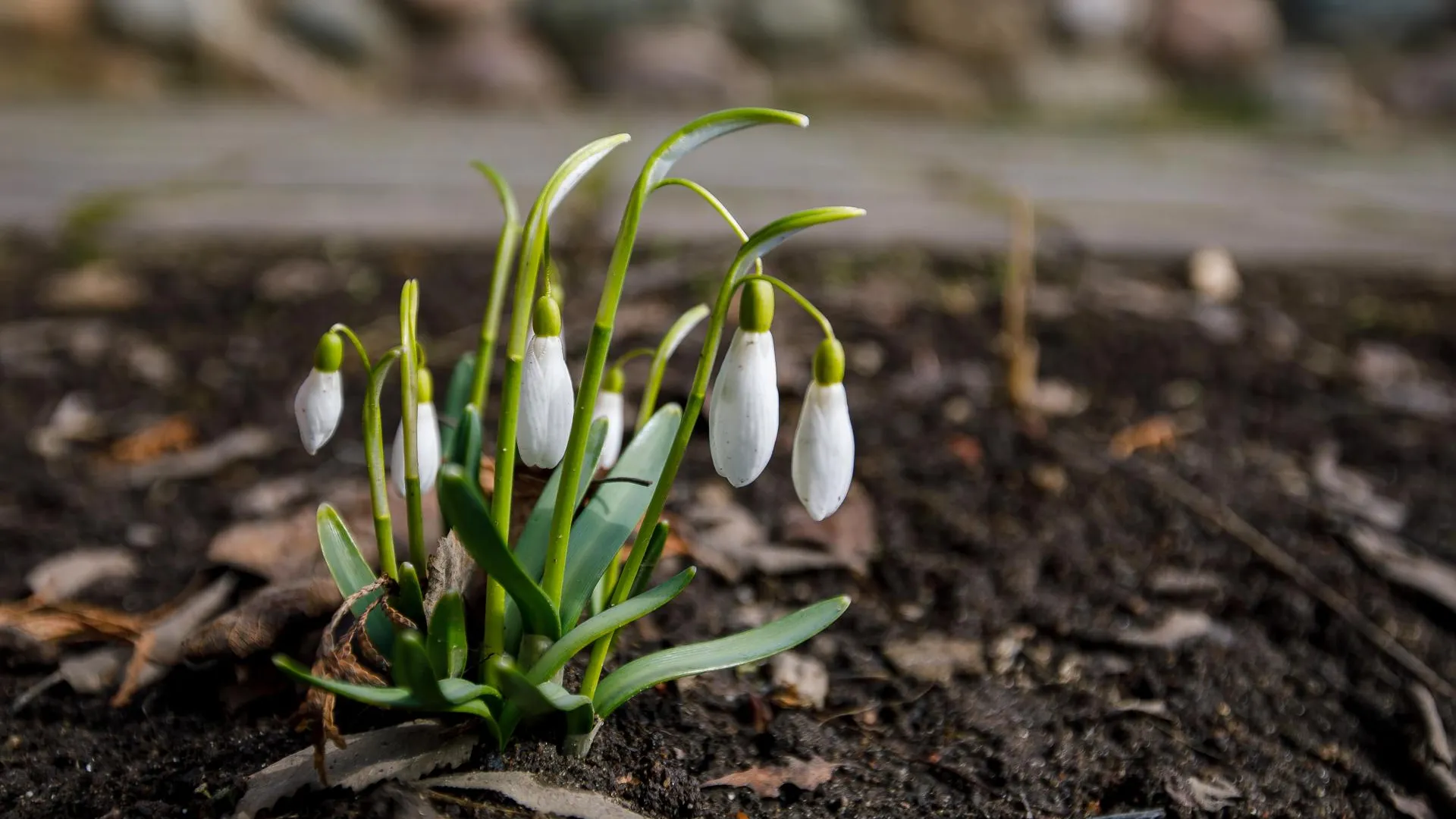 медиасток.рф