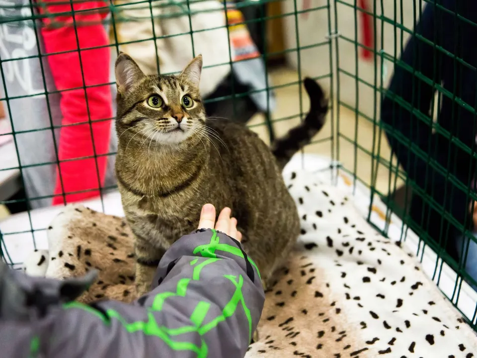 Фото: медиасток.рф