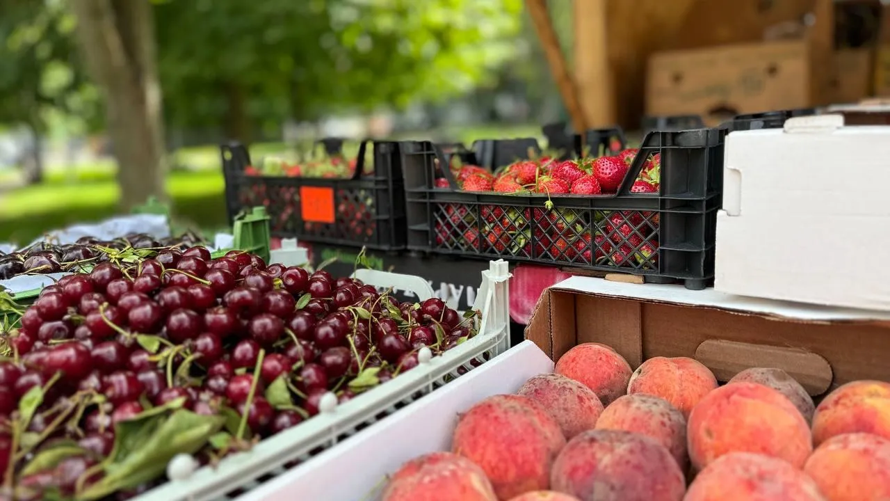 Фото: пресс-служба Минсельхозпрода МО