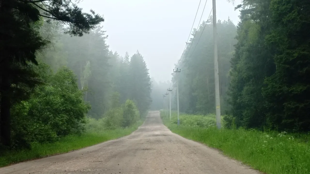 Фото: REGIONS/Василий Тремасов