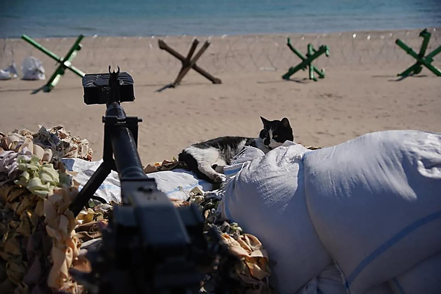 Ukrainian Military Defense/Keystone Press Agency