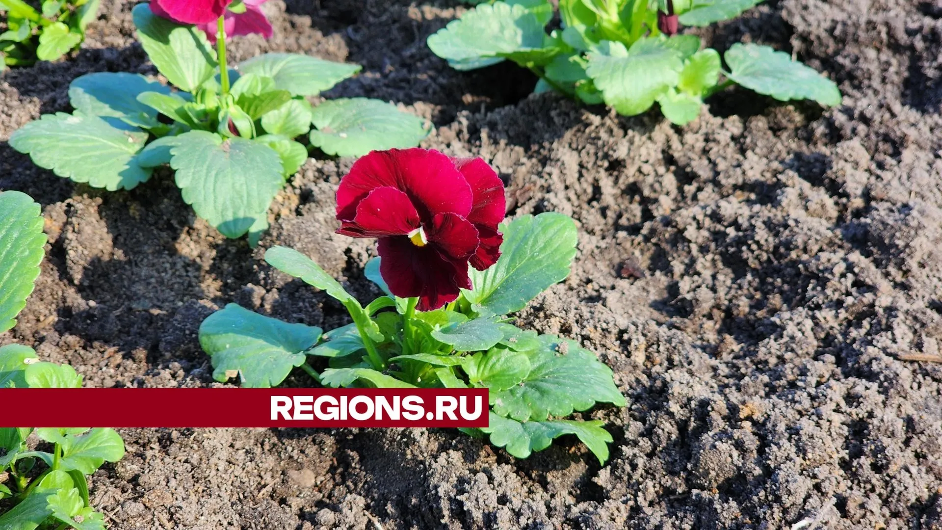 Фото: Юлия Андросова