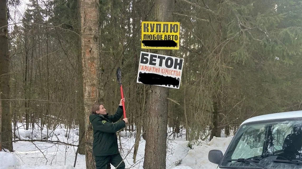 Фото: пресс-служба комитета лесного хозяйства Московской области