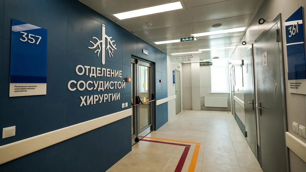 пресс-служба губернатора и правительства Московской области/Александра Степанова