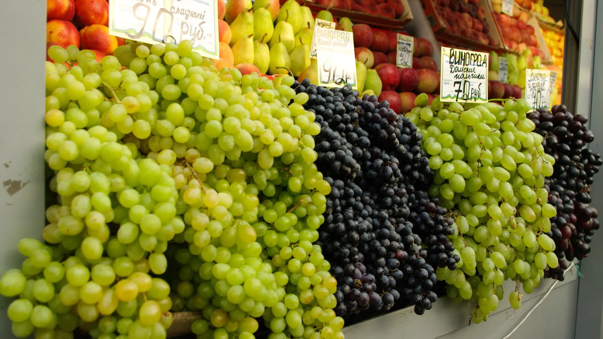 Почти 28 тыс. тонн винограда планируют собрать в Севастополе