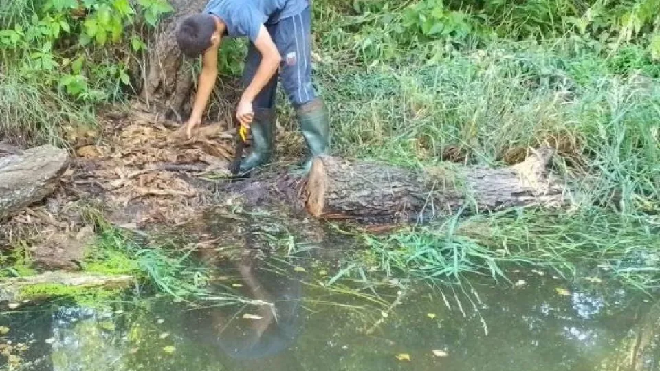 Фото: Минэкологии МО