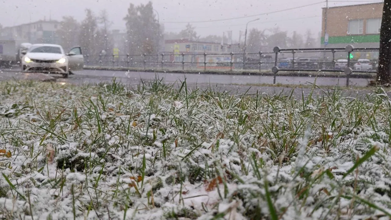 Фото: REGIONS/Алексей Селиверстов