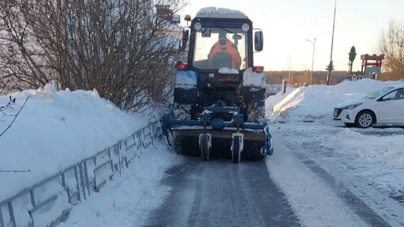 Фото: Пресс-служба администрации городского округа Истра