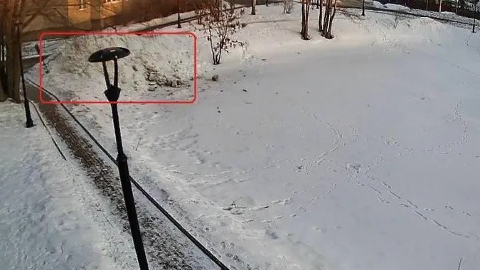 Фото: ГУСТ МО