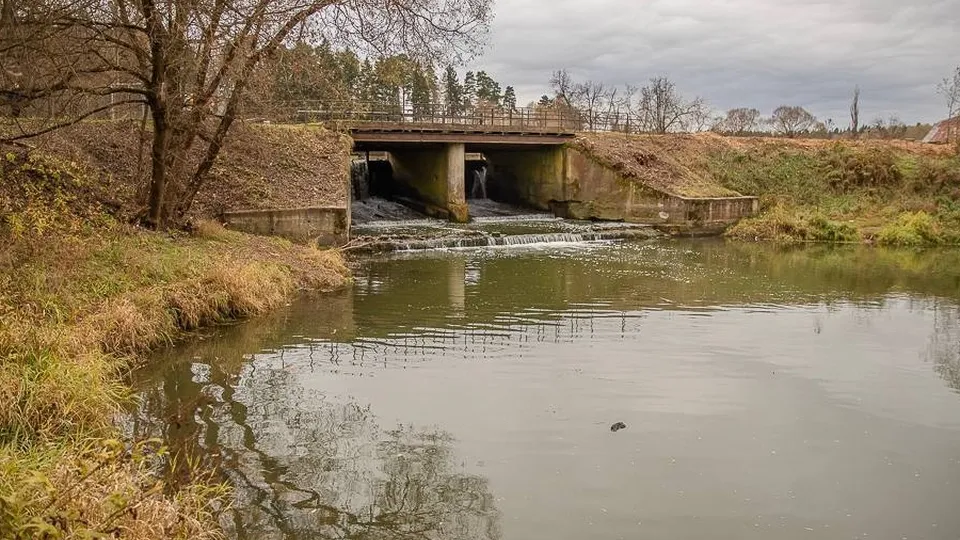 Фото: пресс-служба администрации Одинцовского городского округа