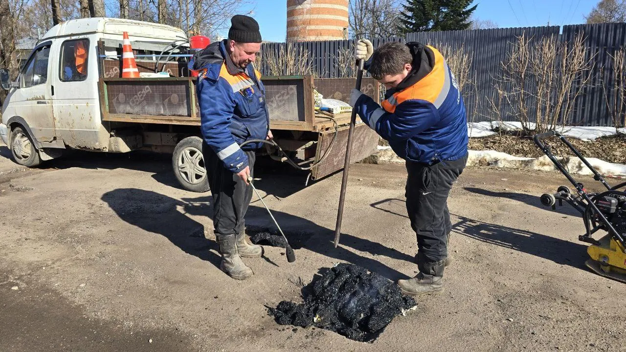 REGIONS/Яна Шаливская