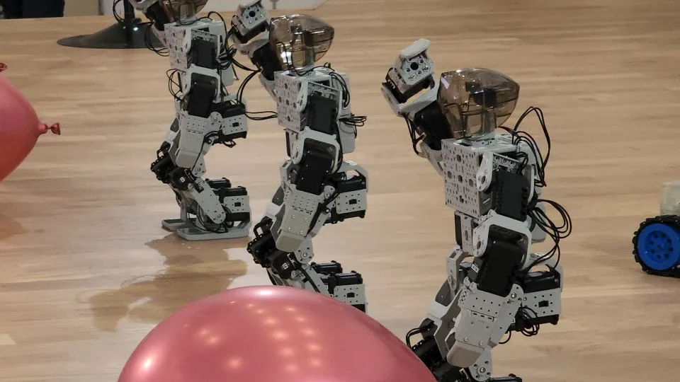 Фото: МедиаБанк Подмосковья/Ксения Пашуто