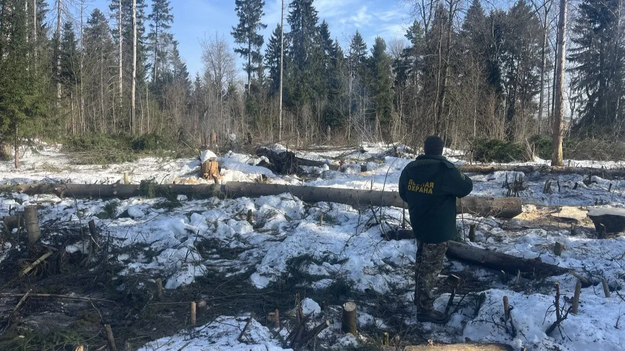 t.me/krasnogorsk_official