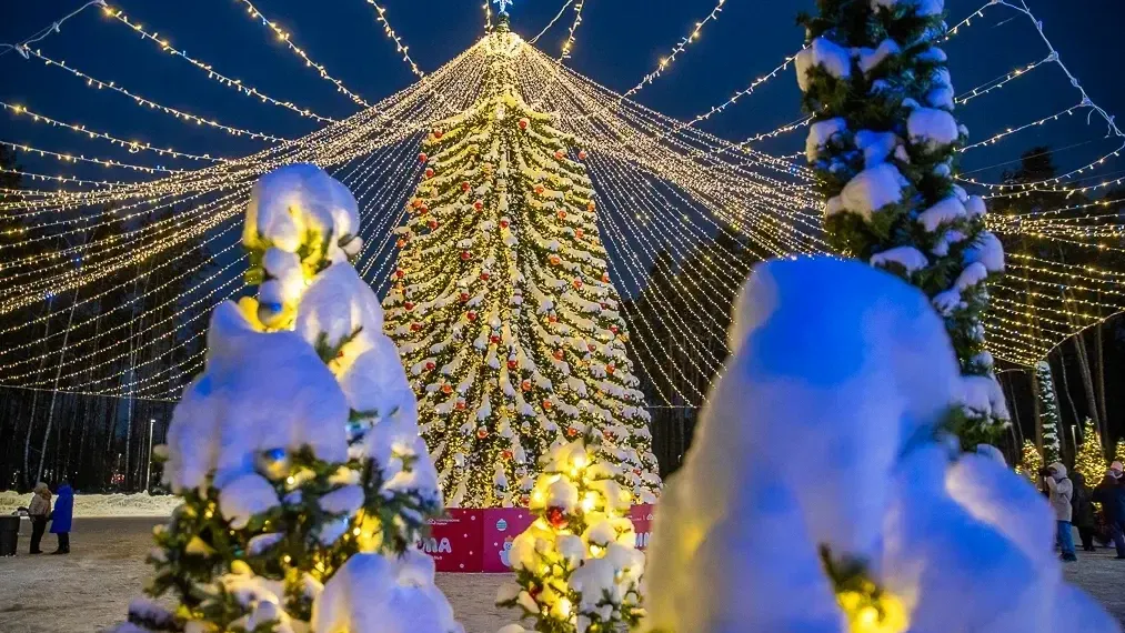 пресс-служба губернатора и правительства Московской области