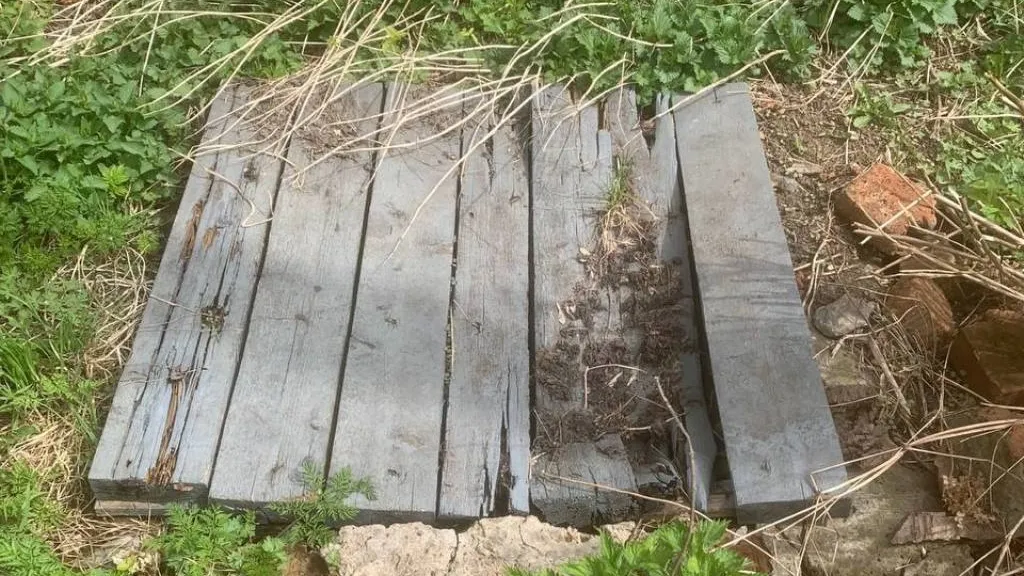 Фото: t.me/g_kashira