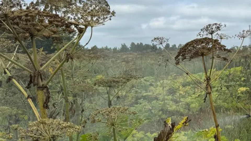 Фото: Медиабанк Подмосковья/Яна Шаливская