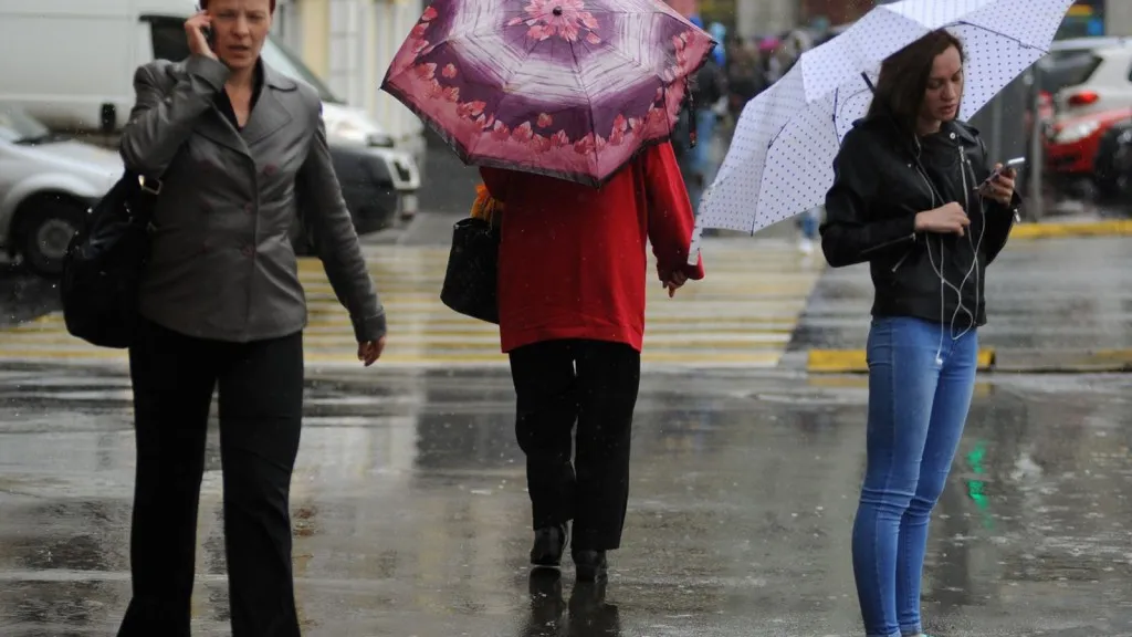 Фото: медиасток.рф