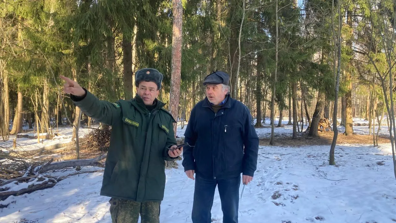 Фото: Комитет лесного хозяйства МО