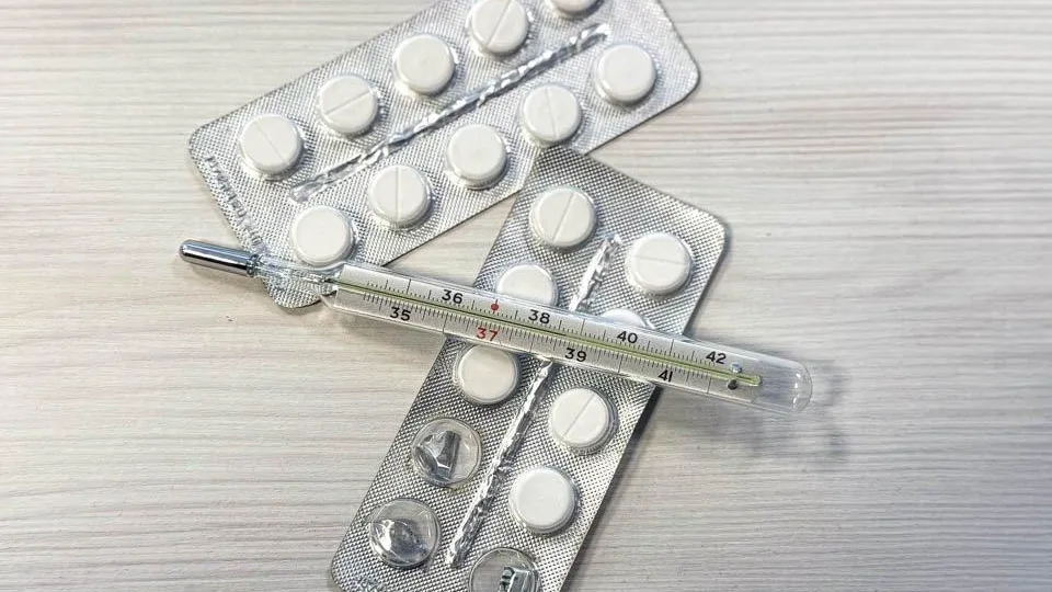 Подмосковье сегодня/Владимир Ерастов