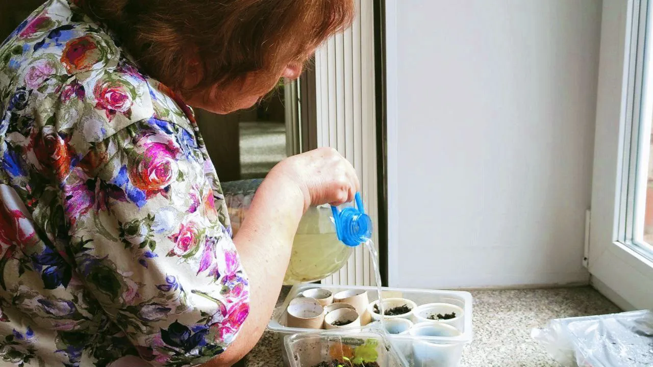 Фото: «Активное долголетие» г.о. Щелково