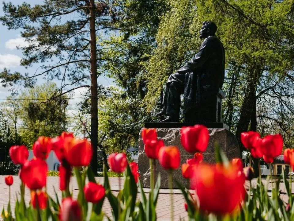 Фото: администрация м.о. Чехов&nbsp;