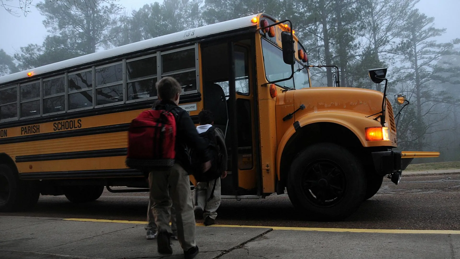 Фото: pxhere.com