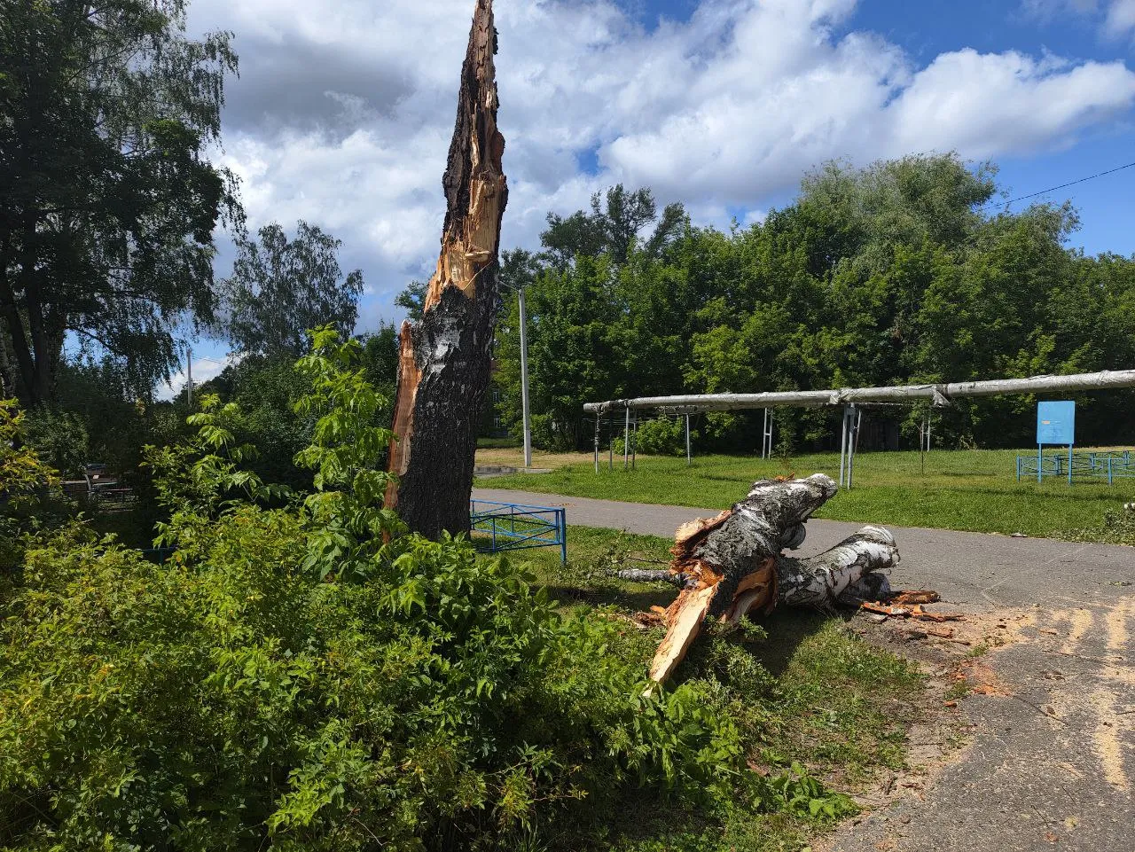 Фото: REGIONS/Оксана Лапшина