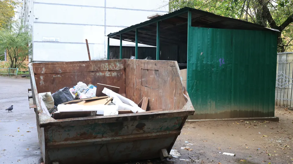 Фото: Алексей Грызлов