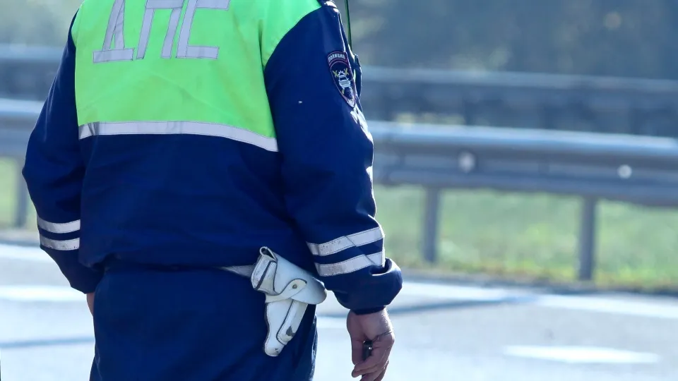 Фото: Владимир Лебедев