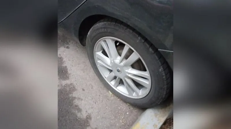 В Химках засекли группу воров автомобильных колпачков