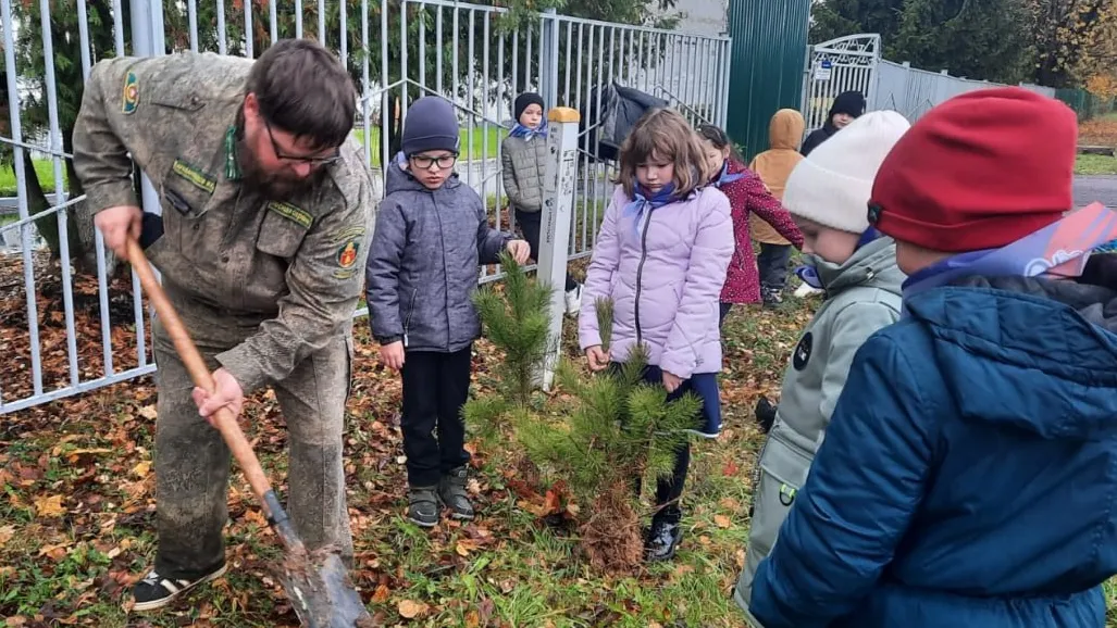 Фото: ГКУ МО «Мособллес»
