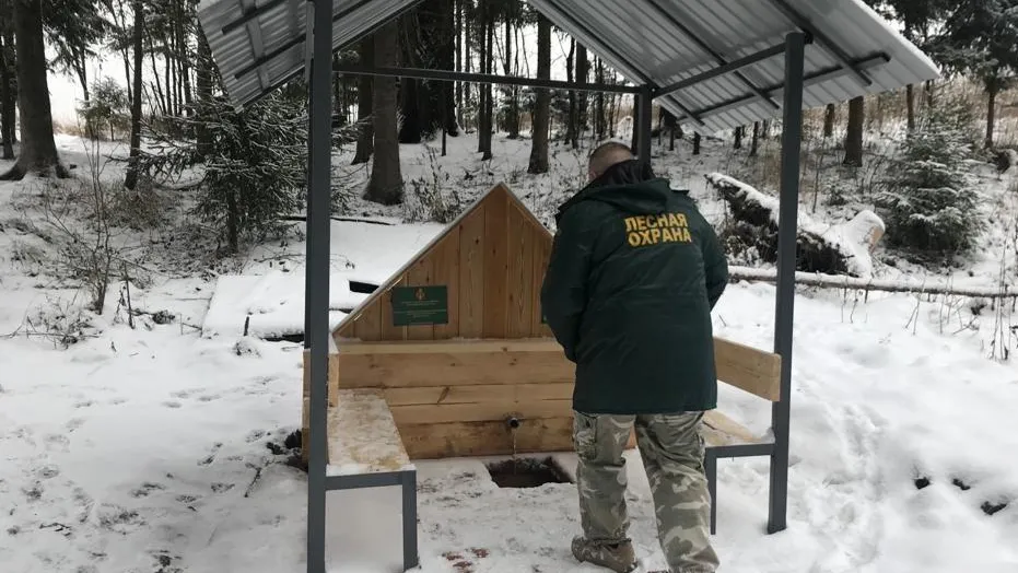 фото: ГКУ МО «Мособллес»