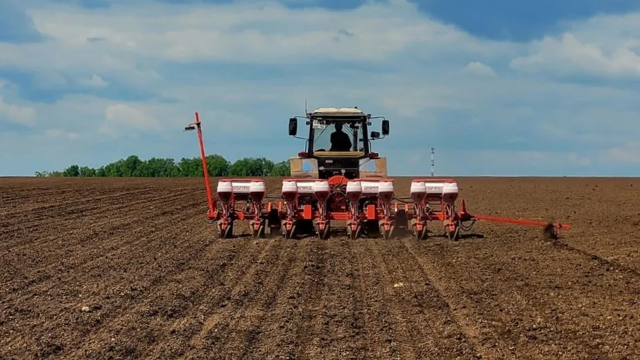 Фото: vk.com/Елена Белкина